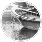 Aquaculture